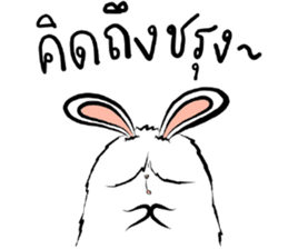 The Fluffy Fatty Rabbit sticker #12176481