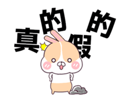 Move!!Rabbit group coming~ sticker #12176850