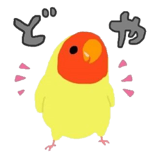 Love-bird PIPI sticker #12176885