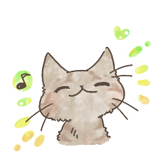 Daily life of Brown tabby Cat