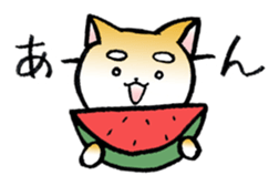 Hakata's Dogs 5th season -in summer- sticker #12180640