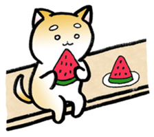 Hakata's Dogs 5th season -in summer- sticker #12180641