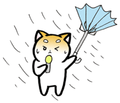 Hakata's Dogs 5th season -in summer- sticker #12180644