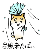 Hakata's Dogs 5th season -in summer- sticker #12180646