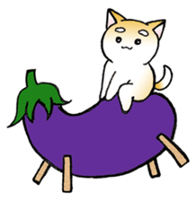 Hakata's Dogs 5th season -in summer- sticker #12180658