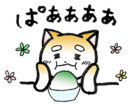 Hakata's Dogs 5th season -in summer- sticker #12180668