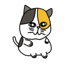lily catty sticker #12187090