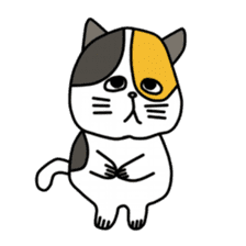 lily catty sticker #12187094