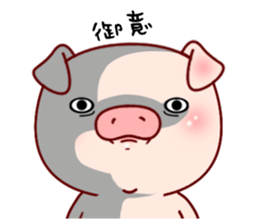 Pig with 40 answer or pattern sticker #12188838