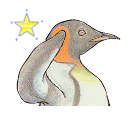 King penguins sticker #12190982