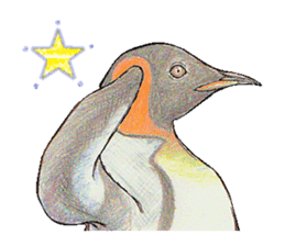 King penguins sticker #12190982