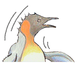 King penguins sticker #12190990