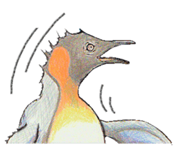 King penguins sticker #12190990