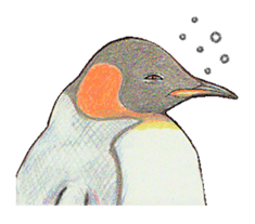 King penguins sticker #12190994