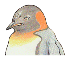 King penguins sticker #12190997