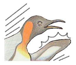 King penguins sticker #12191001
