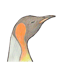 King penguins sticker #12191011