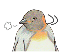 King penguins sticker #12191013