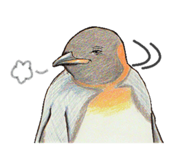 King penguins sticker #12191013