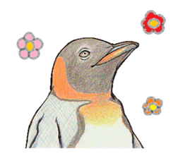 King penguins sticker #12191016