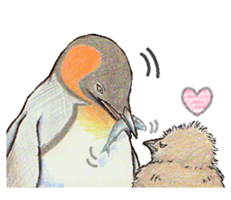 King penguins sticker #12191020