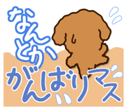 Honorific Toypoodle sticker #12191960