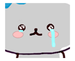 Cute bear every day sticker #12192016