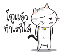 white cat in the house 2 sticker #12192718