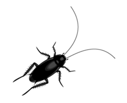 Cockroach moving 2 (English) sticker #12193944