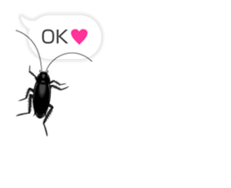 Cockroach moving 2 (English) sticker #12193946