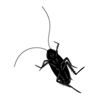 Cockroach moving 2 (English) sticker #12193952