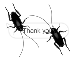 Cockroach moving 2 (English) sticker #12193954