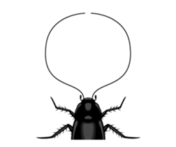 Cockroach moving 2 (English) sticker #12193955