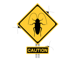 Cockroach moving 2 (English) sticker #12193957