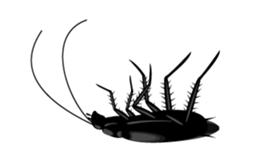 Cockroach moving 2 (English) sticker #12193959