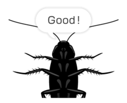 Cockroach moving 2 (English) sticker #12193961