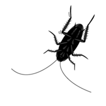 Cockroach moving 2 (English) sticker #12193963