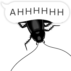 Cockroach moving 2 (English)