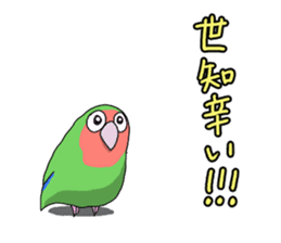 budgie sticker sticker #12197600