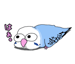 budgie sticker sticker #12197602