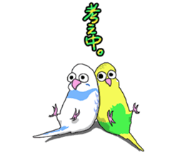 budgie sticker sticker #12197604