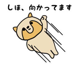 Stickers for Shiho sticker #12198170