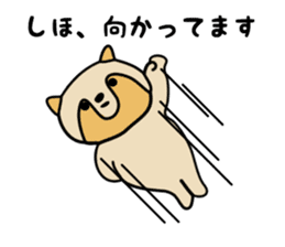 Stickers for Shiho sticker #12198170