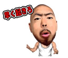 SHO sticker #12198887