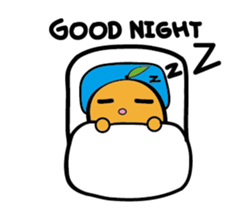 Orange's life sticker #12200441