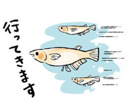Various Medaka of stickers sticker #12200600