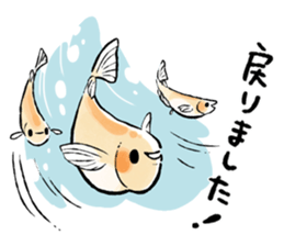 Various Medaka of stickers sticker #12200601