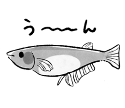 Various Medaka of stickers sticker #12200607