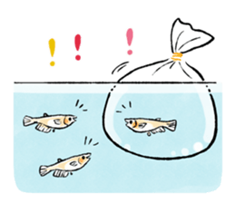 Various Medaka of stickers sticker #12200611