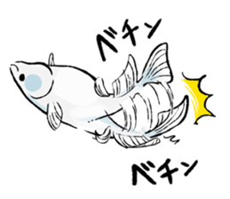 Various Medaka of stickers sticker #12200619